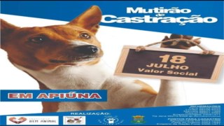 Mutirão da castração. Mutirão da castração.